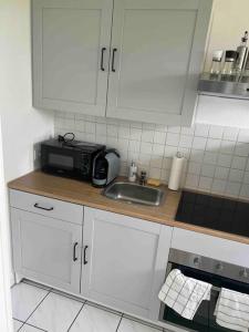 uma cozinha com um lavatório e um micro-ondas em Wunderschöne 1-Zimmer Wohnung em Wiesbaden