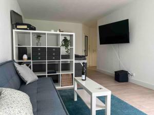 ein Wohnzimmer mit einem Sofa und einem TV in der Unterkunft Wunderschöne 1-Zimmer Wohnung in Wiesbaden