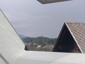 a view from a window of a roof at Pr' Hribar in Zgornje Gorje