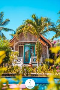 a house with a palm tree and a swimming pool at AQUARIUM Gili Air in Gili Air