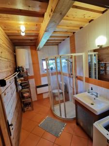 a bathroom with a shower and a sink at Drevenica Západné Tatry in Žiar