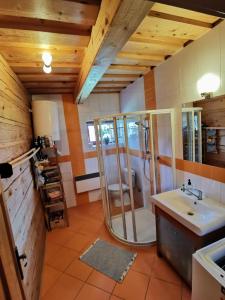 a bathroom with a shower and a sink at Drevenica Západné Tatry s kúpacou kaďou a krbom in Žiar