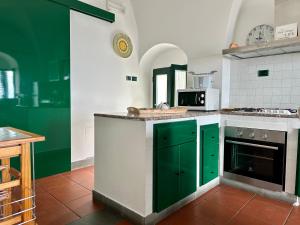 マンフレドーニアにあるTerrazza Diomede- Manfredi Homes & Villasのキッチン(緑のキャビネット、カウンタートップ付)