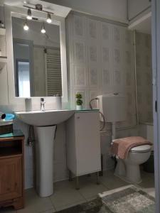 La salle de bains est pourvue d'un lavabo, de toilettes et d'un miroir. dans l'établissement Helena's Apartment 2 Agia Triada, à Thessalonique