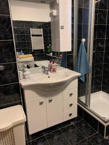 a bathroom with a sink and a shower and a tub at Sonnen FEWO in Pannonhalma