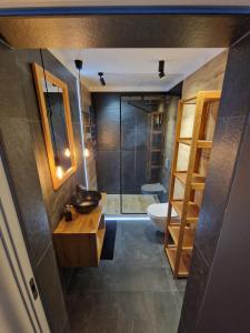 een badkamer met een douche, een wastafel en een toilet bij Apartament Helenka in Hajnówka