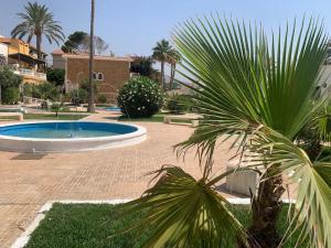una palma seduta accanto alla piscina di BUNGALOW PIE DE PLAYA B30 a Almería