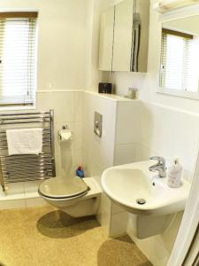 uma casa de banho branca com um WC e um lavatório em Pete's Place - 97a Grantley Gardens - Plymouth Devon em Plymouth