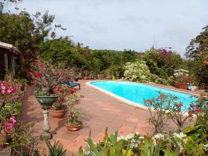 una piscina in un giardino con fiori e piante di La Villa Belle a La Trinité
