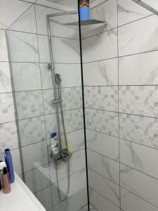 W łazience znajduje się prysznic ze szklanymi drzwiami. w obiekcie Kršić Apartman w mieście Baošići