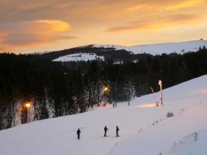 a group of people skiing down a snow covered slope at Ma Montagne Chic in La Bresse +5 photos