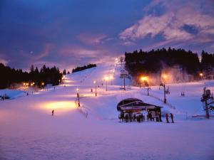 un groupe de personnes sur une piste de ski la nuit dans l'établissement Ma Montagne Chic, à La Bresse