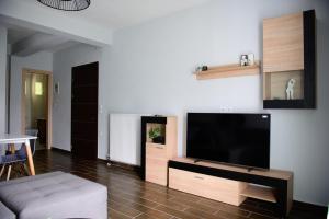 a living room with a large flat screen tv at Ολόκληρο Διαμέρισμα η Βυσσινιά in Kotrónion