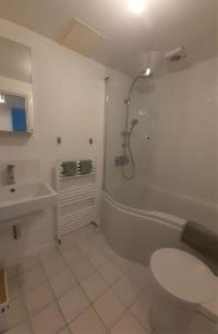 a bathroom with a shower and a toilet and a sink at 2 Bedroom Victorian Garden Flat in London