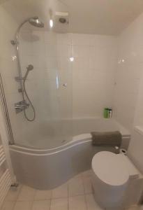 y baño con ducha, aseo y bañera. en 2 Bedroom Victorian Garden Flat en Londres