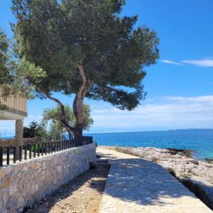 a tree next to a stone wall next to the ocean at RioDia Seaview Stay in Primošten
