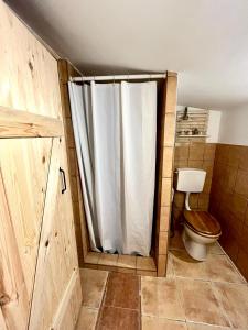 y baño con aseo y cortina de ducha. en Domek drewniany, en Podzamcze