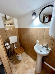 a bathroom with a toilet and a sink at Domek drewniany in Podzamcze