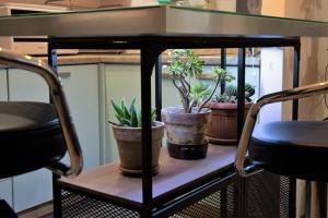 ein Tisch mit drei Topfpflanzen auf einem Regal in der Unterkunft Casa Spezia - Metro Vicina, Wi-Fi Rapido & Netflix in Turin