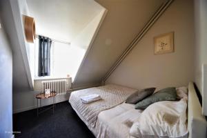 Schlafzimmer mit einem Bett und einem Fenster in der Unterkunft city Apartment "Op de Thermen" in Maastricht