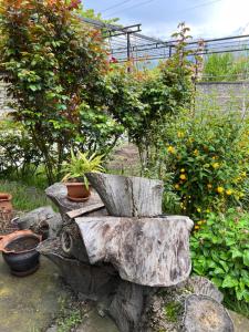 Een tuin van Rest and go on