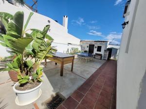 Balkon lub taras w obiekcie GATU PREMIUM Villa Lurberri piscina privada, 4 dormitorios, 2 baños, parking , jardines, " Preferente mayores de 25 años y familias " ín y barbacoa