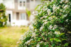 Ogród w obiekcie Villa Ersanavera