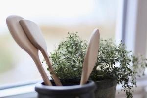 dos cuchillos en una olla al lado de una planta en NORDSEE Bauernhof Familie Wulff FeWo "Südfall", en Reußenköge