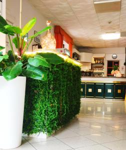 a green hedge in the middle of a room at Hotel Zenith in Rimini