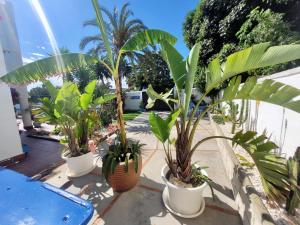 Ogród w obiekcie GATU PREMIUM Villa Lurberri piscina privada, 4 dormitorios, 2 baños, parking , jardines, " Preferente mayores de 25 años y familias " ín y barbacoa