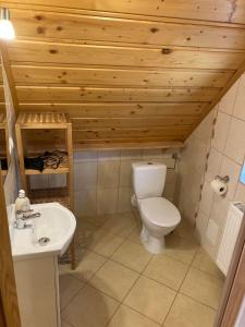 a bathroom with a toilet and a sink at Domek Letniskowy in Zubrzyca Dolna