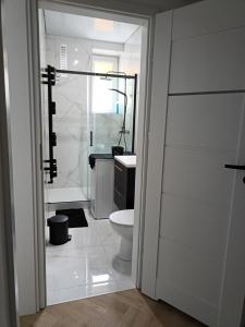 a white bathroom with a shower and a toilet at Zaciszny Apartament Old Town Gdansk in Gdańsk