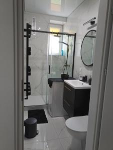 a bathroom with a shower and a toilet and a sink at Zaciszny Apartament Old Town Gdansk in Gdańsk