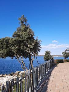 a fence with a tree next to the water at APP Mario Funtana in Funtana