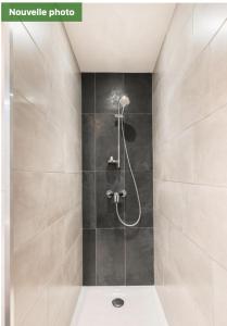 La salle de bains est pourvue d'une douche avec un pommeau de douche. dans l'établissement Saint-Étienne confort 2, à Saint Etienne