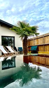 a palm tree and chairs next to a swimming pool at La Villa Canopée - Piscine chauffée-Fibre-Clim-Jacuzzi in Gujan-Mestras