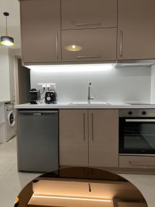 Kuchyň nebo kuchyňský kout v ubytování Alpha Apartment