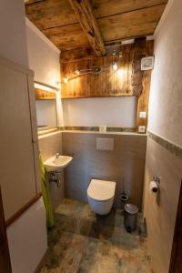 uma casa de banho com um WC e um lavatório em WIEDNERMICHL - Urlaub in den Weinbergen em Krottendorf bei Ligist