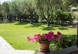 Zahrada ubytování Kritamo villa on Trani Ammouda beach