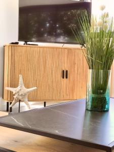 a starfish sitting on a table in front of a television at La Villa Canopée - Piscine chauffée-Fibre-Clim-Jacuzzi in Gujan-Mestras