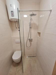 Koupelna v ubytování Apartments Čobanov