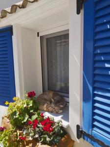 Fotografie z fotogalerie ubytování Spiti Melianou v destinaci Agios Georgios Pagon