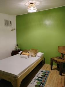 a bedroom with a green wall with a bed and a chair at Casas del Salvador (Airbnb) Private Room #9 in Valencia