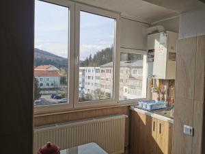 a kitchen with two windows and a view of a city at Apartament Ramona in Zărneşti