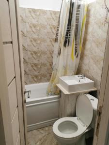 a bathroom with a toilet and a sink and a tub at Apartament Ramona in Zărneşti +8 photos