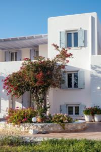 Το κτήριο όπου στεγάζεται  το διαμέρισμα