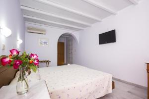 TV a/nebo společenská místnost v ubytování Naxos Holidays