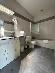 a bathroom with a toilet and a sink at Hôtel des Roches - Climatisation in Les Eyzies-de-Tayac