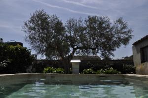 Bazén v ubytování Can Barrull-Costa Brava-Emporda nebo v jeho okolí