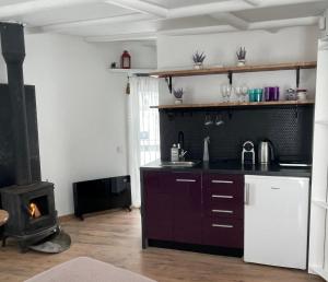 a kitchen with a stove and a counter top at Round house in Sigulda
